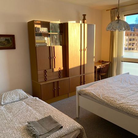 Apartman Pod Studenou Horou Rokytnice nad Jizerou Ngoại thất bức ảnh